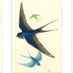 Ralph Kull, Vögel, 1969